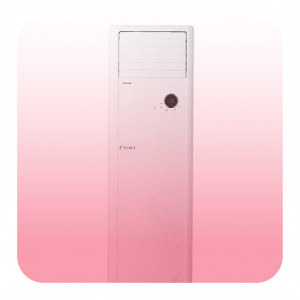 AC Portable 3 PK